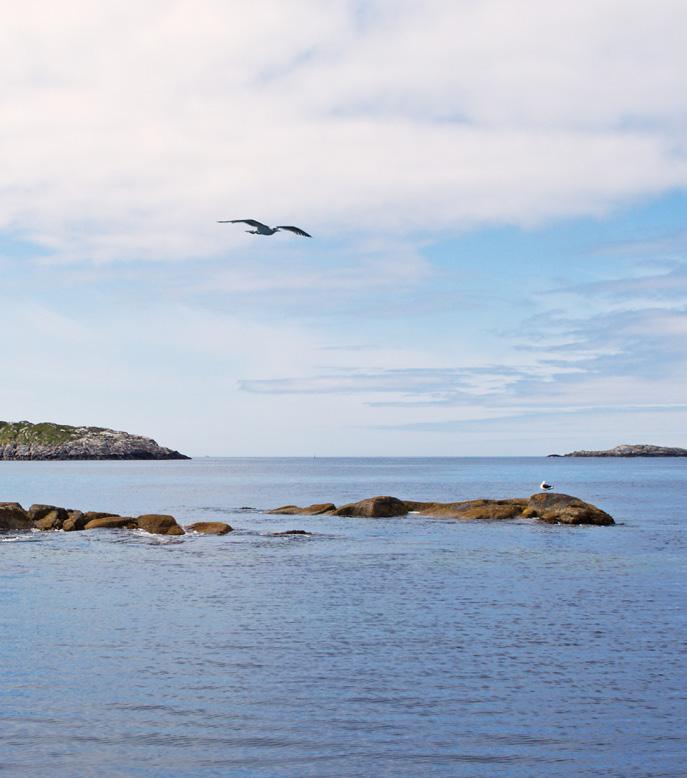 I sentrum finner du også dagligvare, skoler, barnehager og idrettsanlegg. Og trenger dere noe du ikke finner her, så er det ikke mer enn drøye 13 minutter med bil før dere er på Jørpeland.