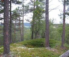 10. Kulturminner Arkeologiske kulturminner i Hedmark Innenfor det arealet som vi i dag kaller Hedmark har det bodd mennesker siden istidas slutt for omtrent 9 000 år siden.