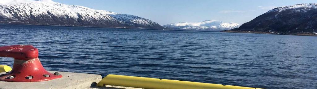 Foto: Lars Åke Andersen Sikkerhet Se, vurdere og håndtere risiko I Tromsø Havn er sikkerhet alle sitt ansvar. Sikkerhetskultur handler om hvordan vi sammen evner å se, vurdere og håndtere risiko.