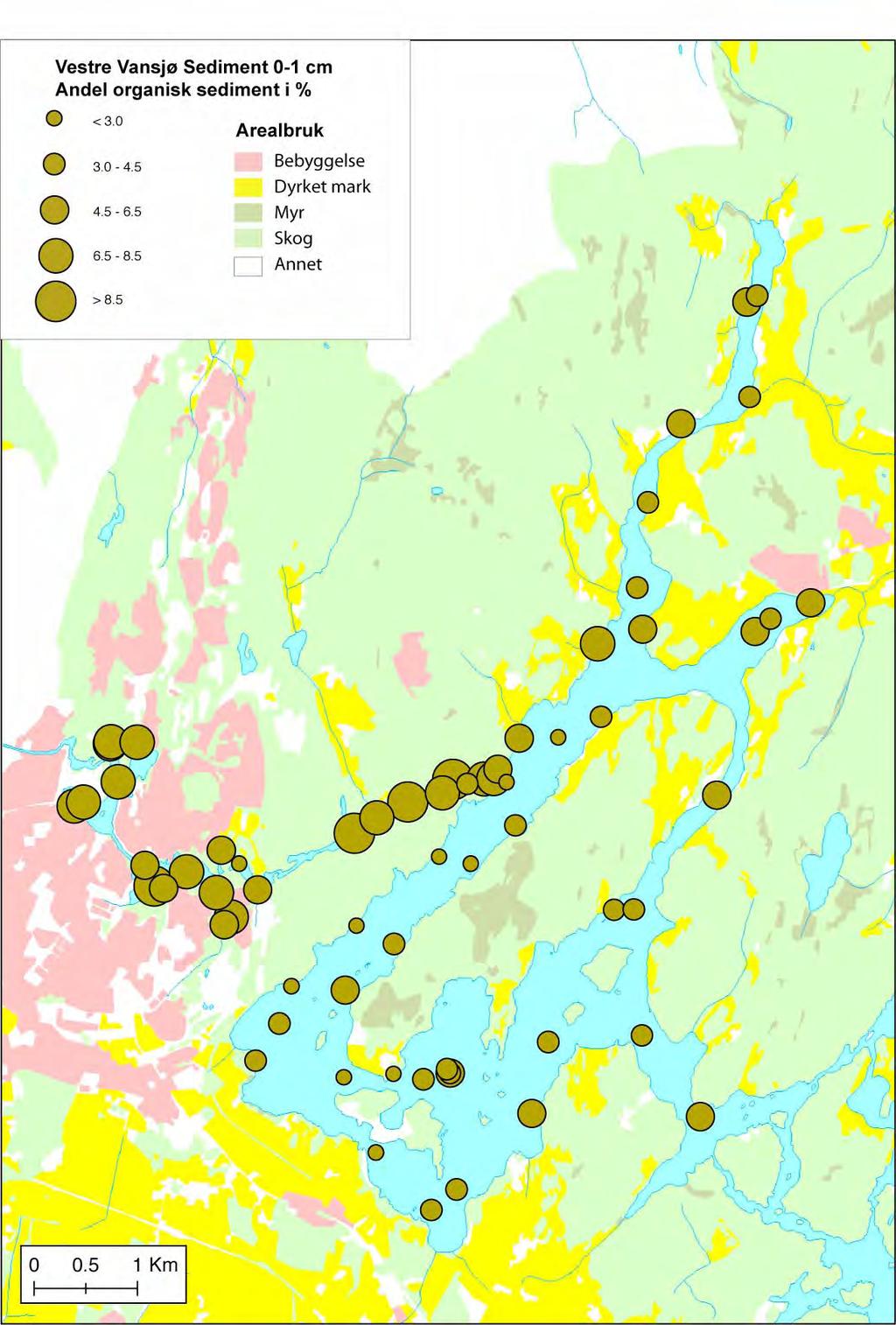 Figur 32. Vestre Vansjø 2005 2007. Fordeling av andel organisk sediment i % av sedimentoverflaten (0-1 cm).