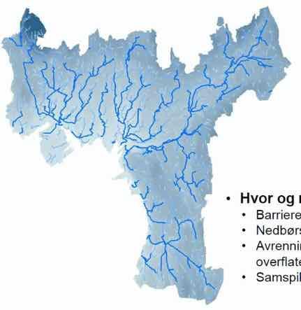 Trinn 3: Kartlegging av flomveier i