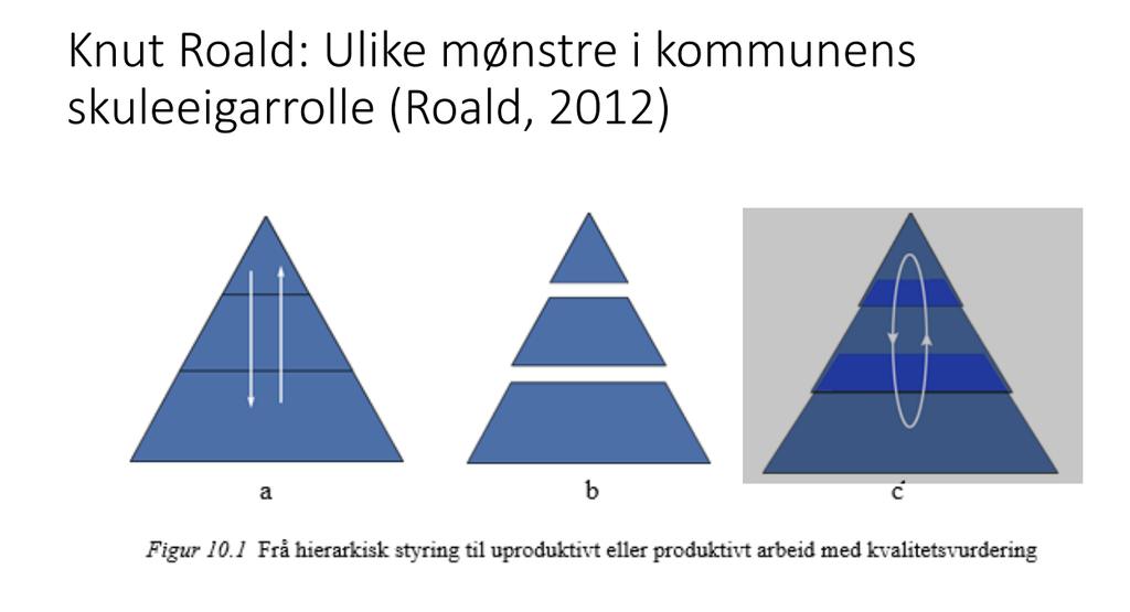 nærmere beskrevet blant annet i en artikkel av Lund m.fl. (2010): Dialogkonferansen som læringsarena og pedagogisk utviklingsverktøy 3.