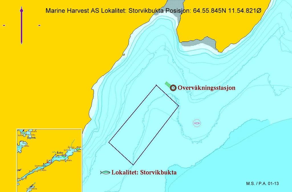 Fig. 2. Lokaliteten Storvikbukta med overvåkingsstasjon (Posisjon 64º55.845N 11º54.821Ø).