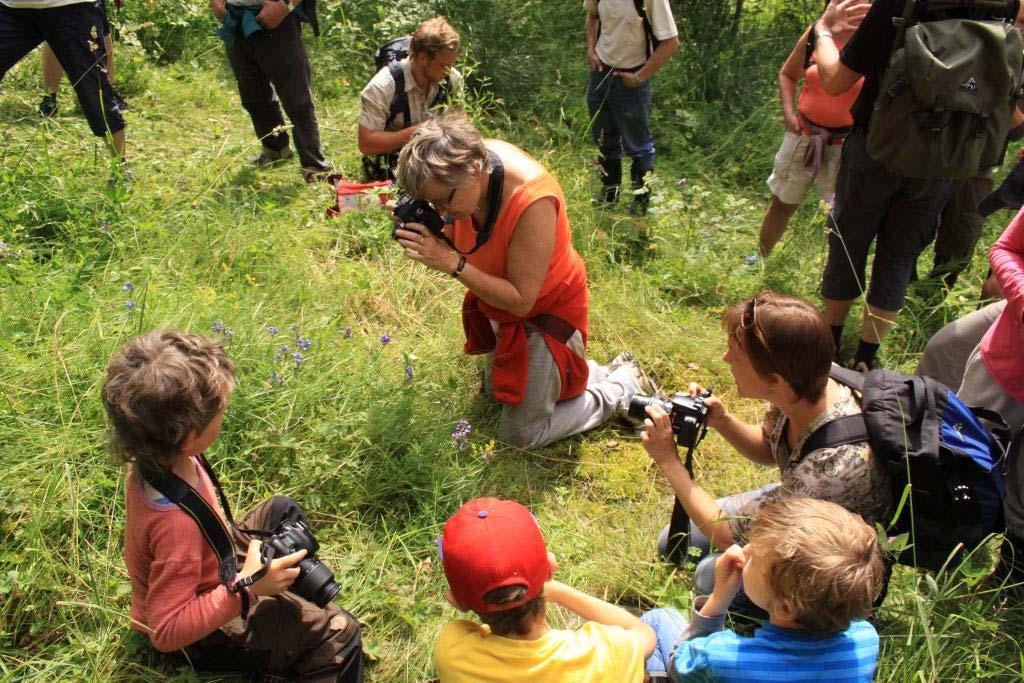 1 Innledning Dragehode har fått status som prioritert art i Naturmangfoldloven, noe som har gjort at den har fått en egen handlingsplan sammen med dragehodeglansbille (Direktoratet for