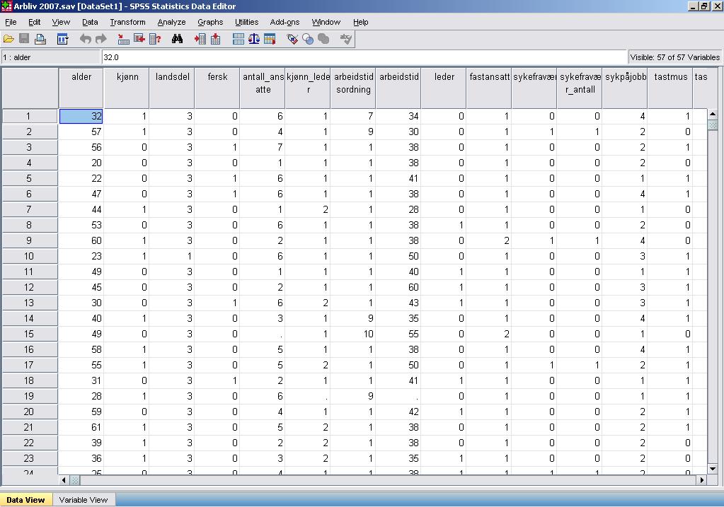 Skjermbildet i SPSS Skjermbildet i SPSS viser datamatrisen, det vil enhetenes