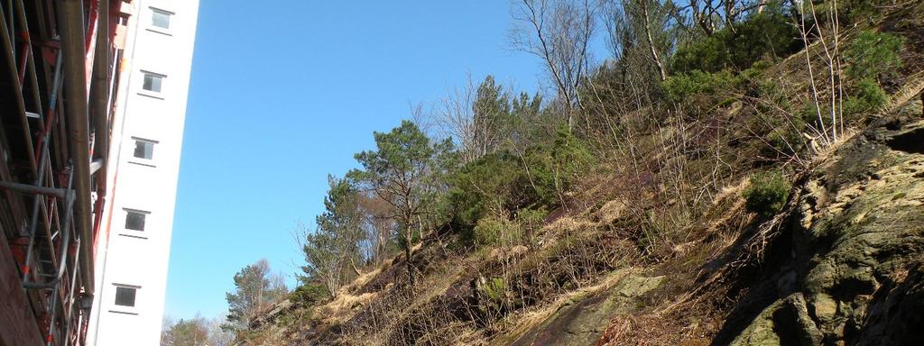 Drensmønster Det ble observert drenende vann og vann i bergsprekker under befaringen. Vanntrykk på glideplanet vil redusere normalspenningen, og dermed også friksjonen.