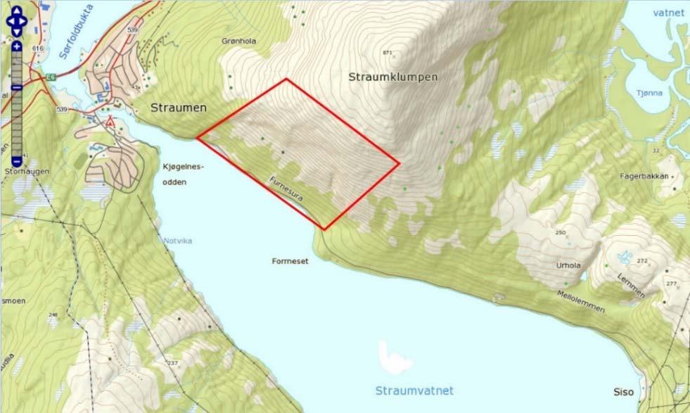 Dokumentnr.: 20140617 Dato: 2016 07 06 Rev.nr.: 0 Vedlegg Q1, side: 3 Figur 2. Området innenfor rødt polygon er kartlagt mht. skredfare for ulike skredtyper. (Kilde: Statens kartverk). Q1.3 Utforming Steinspranggjerdet har som formål å stoppe steiner før de treffer veien.