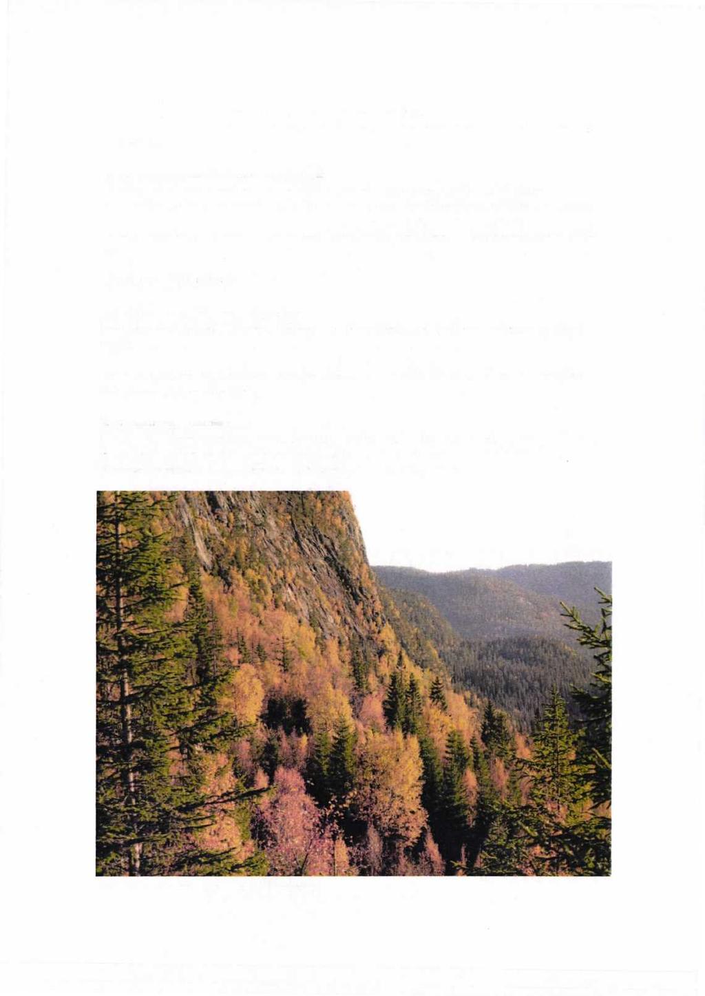 lav og kjuker som er nær truet og knyttet til gammel skog. b) Representerer en bestemt type natur: Edelløvskog og barskog under overveiende naturlig dynamikk.