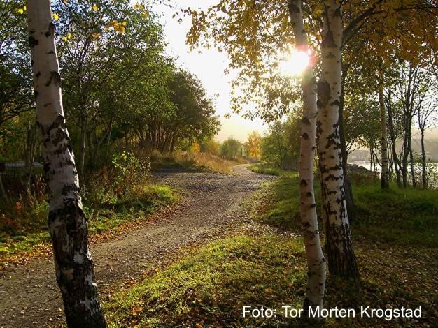 barna til skole og barnehage.