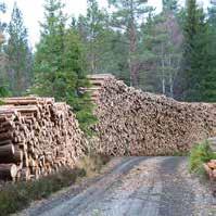 skogdistriktene på Østlandet. Det kommer våre kunder til gode.