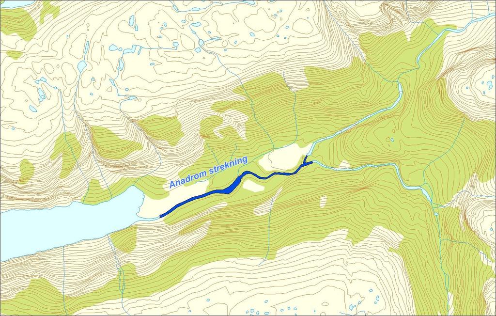 Utløpskommune Hjelmeland Anadrome innsjøer Nei Anadrom strekning (km) 1.