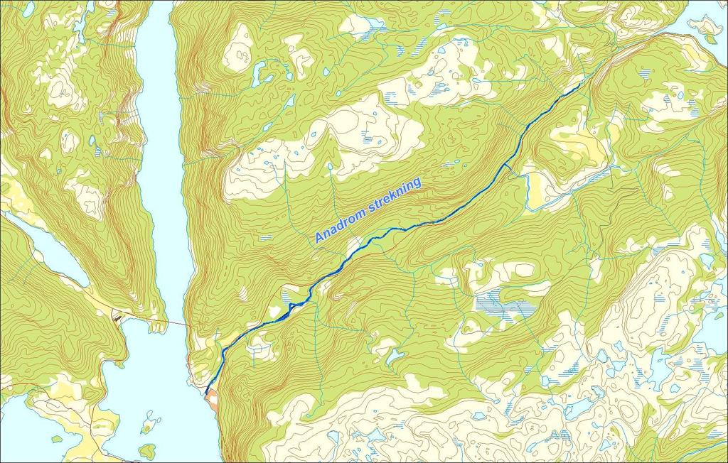Utløpskommune Suldal Anadrome innsjøer Nei Anadrom strekning (km) 5.