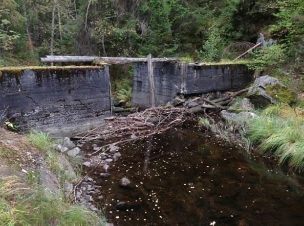 Fjølbuvannet dam