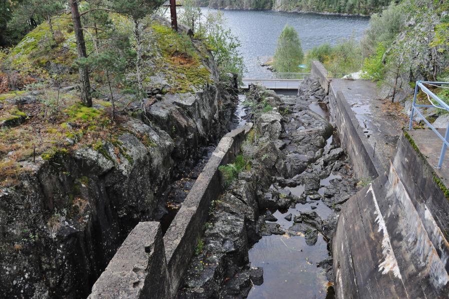 Både elveløp (NiN-terminologi) og innsjø er for øvrig rødlistede naturtyper med status «nær truet» og «sårbar» (Lindgaard & Henriksen 2011).