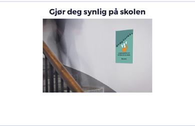 Leksjon 5 Side 3 av 3 OPPGAVE 5.2: GJØR DEG SYNLIG PÅ SKOLEN Oppgavebeskrivelse: I denne oppgaven skal dere skape direkte påvirkning i skolegården.