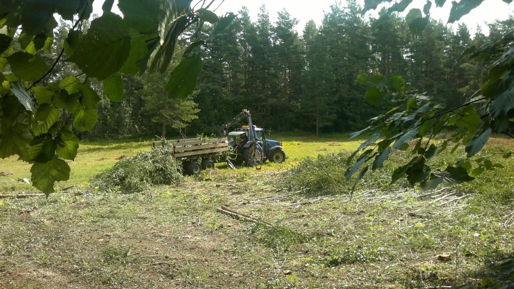 ( foto: jpe) Bilde: Utkjøring av virke med landbrukstraktor og