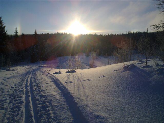 Verdal kommune Forsøksordning med snøscooterløyper