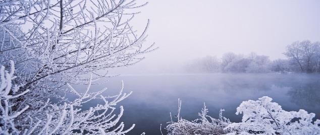 November Vinter Skogen om vinteren Sanger, rim, regler, fortellinger Turer