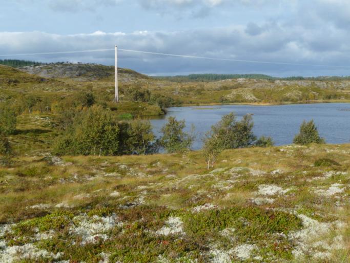 Kraftlinja som krysser Sveavatnet. Foto: Ingvild Gabrielsen I skjøtselsplan for Kjellerhaugvatnet naturreservat foreslås det helårsbeite med gammelnorsk sau.