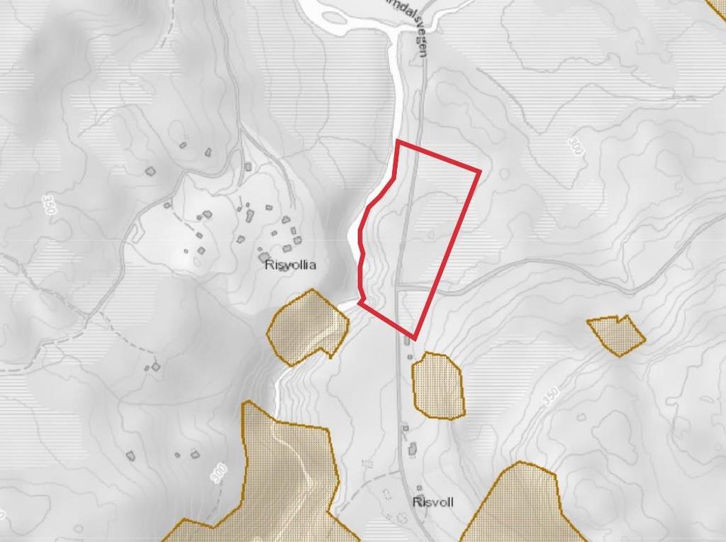 Figur 9: Aktsemdskart snø og stein. Kjelde: NGI. Karta gir eit godt bilete av risiko og fare. Karta er noko grovmaska, og mellom anna i elvedjuvet kan det vera risiko som ikkje kjem fram av karta.