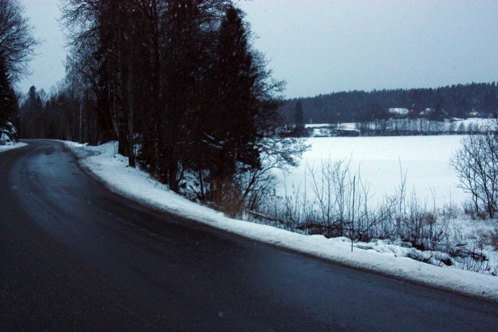 Kantsone mellom fylkesvei 202 og Lyseren.