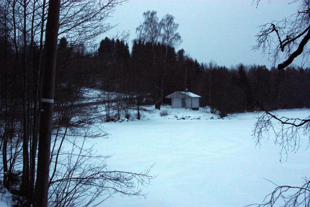 Vest for kiosken danner tett skog en vegg i landskapet mellom fylkesveien og