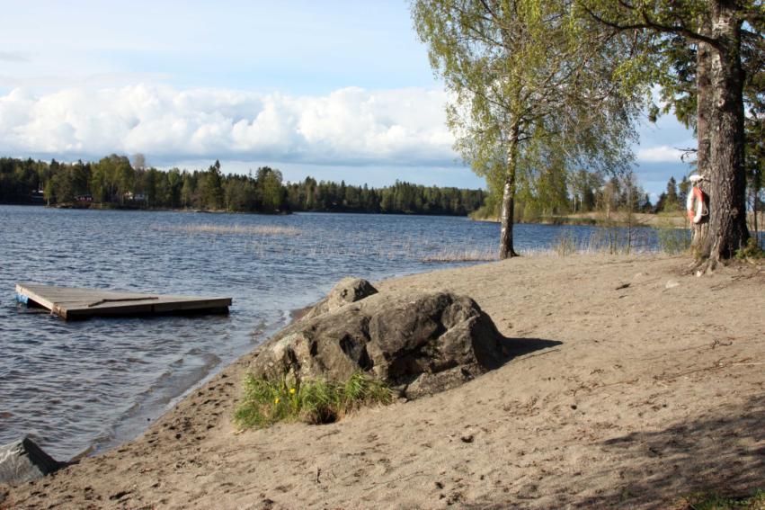 Det er videre beite og dyrking av for mellom gården gården Dalen og fylkesvei 202. Landskapet rundt Lyseren, herunder planområdet, er preget av slak helling opp fra Lyseren.