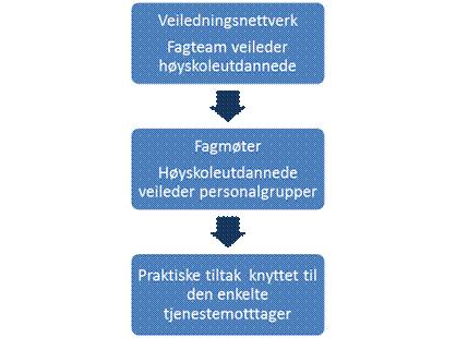 Prosjektet vil ledes av Fagteamleder. Fagteamet vil ha ansvar for å planlegge, gjennomføre og evaluere prosjektet inkludert lede samlinger i veiledningsnettverket.