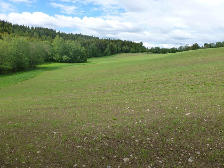 Næringssalt- og bakterier Landbruk Har dere lykkes hva har dere gjort for