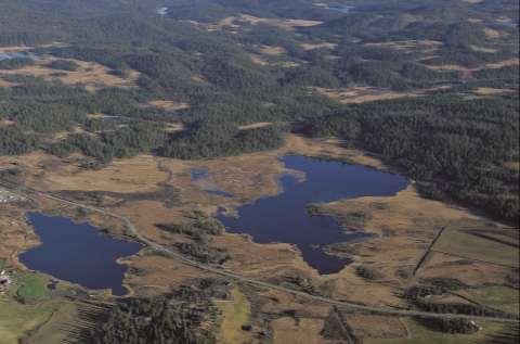 Denne grøfta har en ikke ubetydelig drenerende effekt innover i reservatet. Grøfta og det dyrkede arealet vises tydelig på figur 11 (i nedre venstre hjørne).