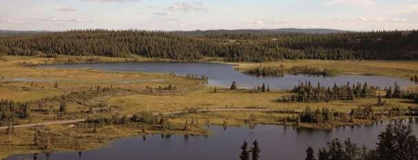 1.4 Generelle opplysninger Verneform Naturreservat Vernetidspunkt Vernet som naturreservat 12. oktober 1990. Fylke Oppland Kommune Etnedal kommune (kommune nr. 0541) Beliggenhet Høyde over havet Kart.