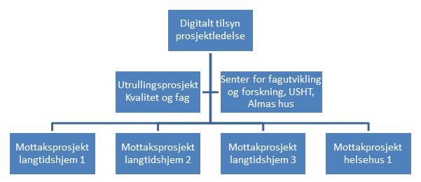 EKSEMPEL PÅ ORGANISERING Pilotering er avsluttet,