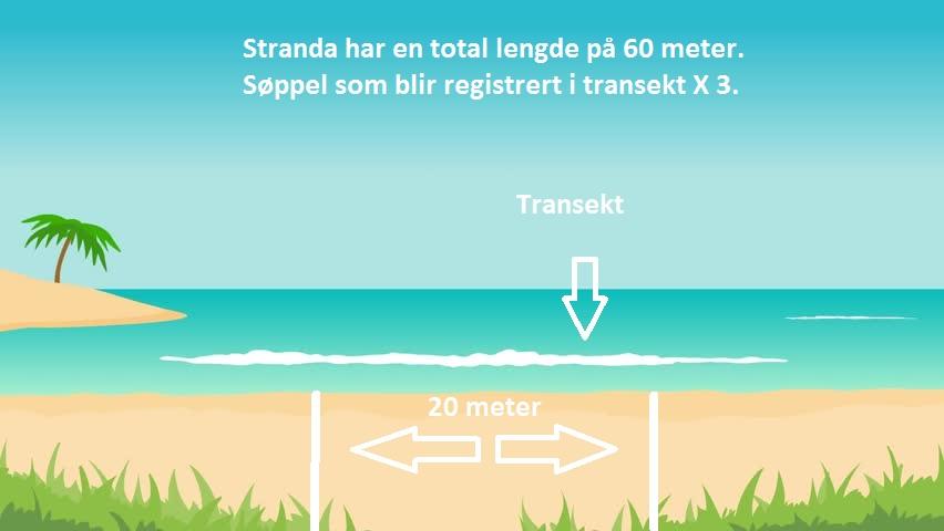 Registrering Registrerer alt søppel i et vilkårlig transekt (oppdelt ryddesone) med 20 m bredde, fra