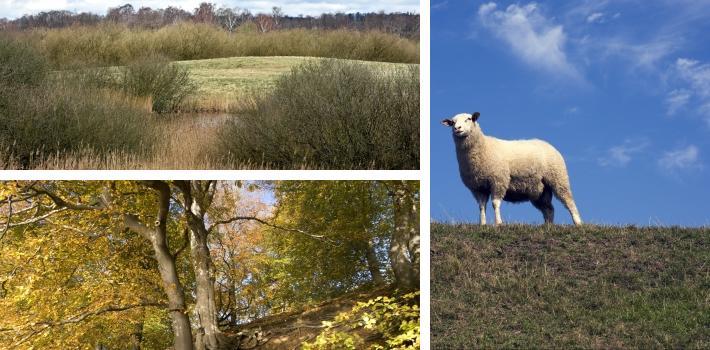 Dere vil også oppdage at det er mange forskjellige turruter å gå på og følger dere den lengste stien, vil dere passere adskillige minnesteder av nasjonalhistorisk betydning deriblant en nydelig