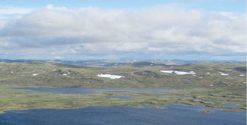 Nedbørsfeltet til Langesjøen ligger i hovedsak på granittisk grunnfjell, mens flere av toppene rundt er dekka av kalkrike, sedimentære og metamorfe bergarter som fyllitt (Tysse & Garnås 199).