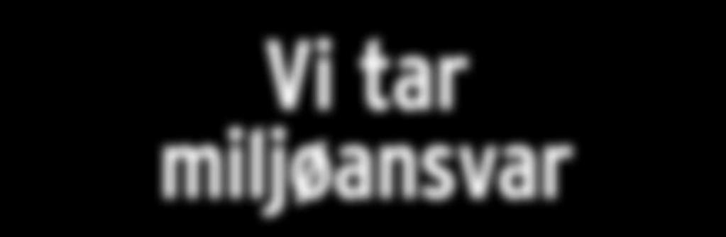 Betal om 4 måneder Utsettelseskostnad kr 275 Betal om 6 måneder Utsettelseskostnad kr 349 Betal om 9 måneder Utsettelseskostnad kr 425 Vi stiller strenge miljøkrav både til egen organisasjon og til