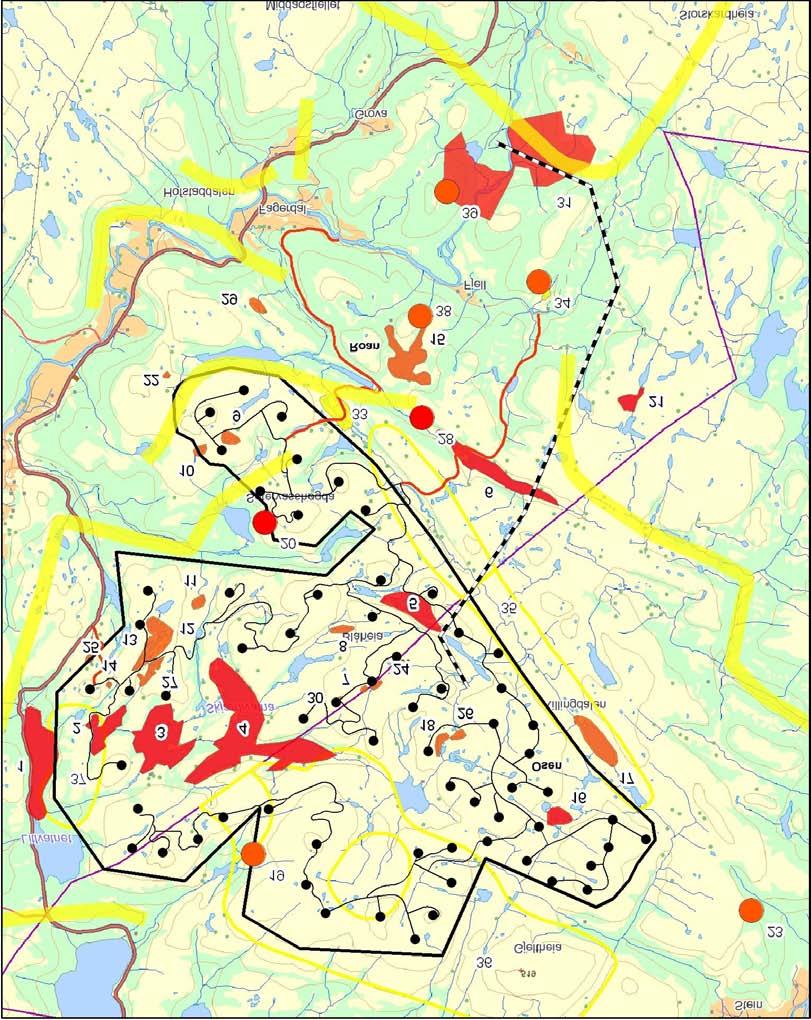 Figur 32 Verdikart for utredningsområdet for Blåheia vindkraftverk i Roan og Osen kommuner, Sør-Trøndelag. 6.5.2. Konsekvenser av vindkraftverket med atkomstveier og kraftlinjer På tema naturtyper og flora er de største konsekvensene i forbindelse med nettilknytning i sørøst.