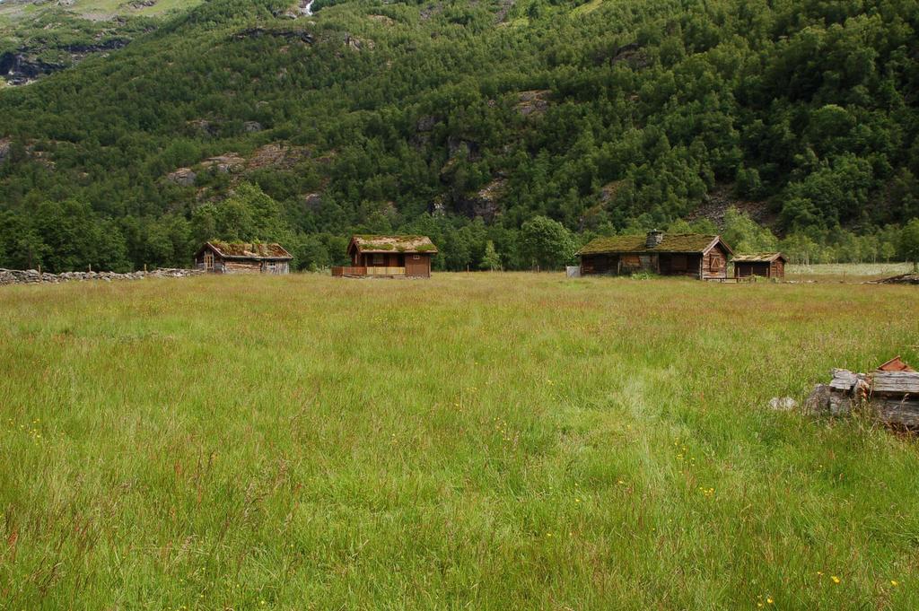 Bevaringsmål - naturtypenivå Gruppere like lokalitetar av same naturtype Om lag same biologiske mangfald