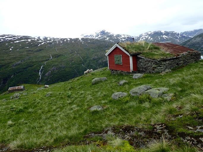 mellomboreal og nordboreal vegetasjonssone 70 grunneigarar Foto: