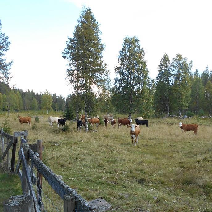 Selv kan jeg ha det litt moro med å si at «det kommer an på». Det er en fin test på om folk godtar tenkemåten, og om de har nødvendig tålmodighet.