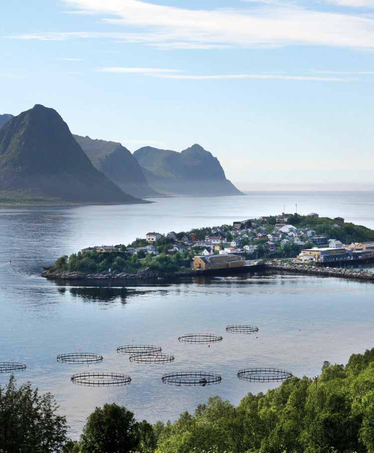 Jørn Cruickshank Husøy på Senja. Foto: Trond Sandnes, Folkebladet.