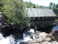 Lok. nr. 10 Koldalsfossen 124110010 Svært viktig A Omtalt lokalitet er den vestligste av disse tre.