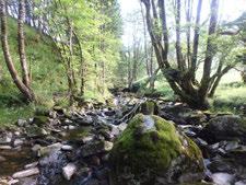 Lok. nr. 11 Matlandselva 124110011 Svært viktig A Omtalen gjelder den langstrakte hovedlokaliteten som omfatter selve elva.