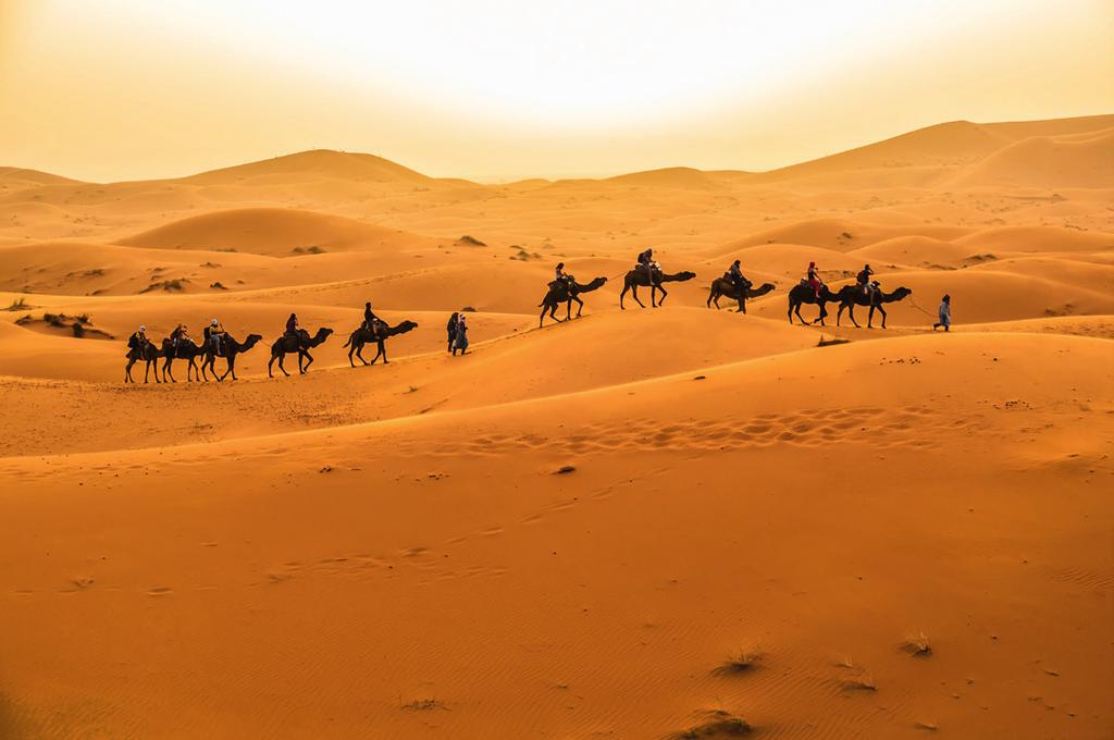 Denne byen kalles ofte for Marrakesh mormor på grunn av sin likhet med Marrakesh, selv om byen er mye mindre. Det er en befestet markedsby hvor vi gjør en byvandring på ettermiddagen.