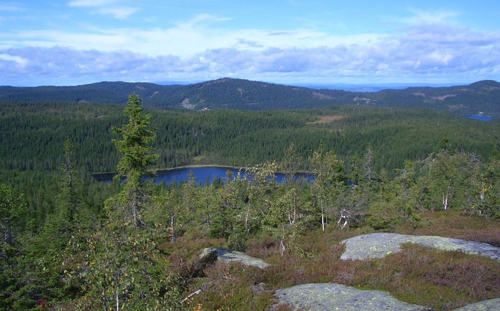 Konsekvenser av planforslaget Åssjøen Åssjøen ligger vest for Bislingen, noe over 2 km i luftlinje fra planlagt hotell.