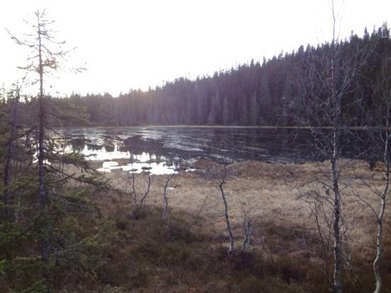 Konsekvenser av planforslaget Jakt og fiske Jakt- og fiskemuligheter er beskrevet i avsnitt 5.8 Friluftsliv.