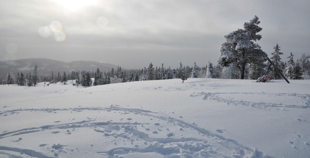 Planforslaget 3.6 Alpinanlegget Plankartet viser areal for alpinanlegg med tilsvarende areal som i dag er avsatt til tilsvarende arealformål i kommuneplanen (idrett). Arealet er omtrent 35 dekar.