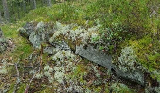 Bakkemur ved sørlig ende av åker 11, vest for gjerde F.