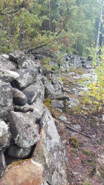 B Bevares i stor grad Steingjerdet som går i vest øst-retning er godt synlig i hele sin