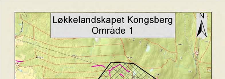 er særlig steingjerder og fegater som har høy kulturhistorisk verdi i Kampestad.